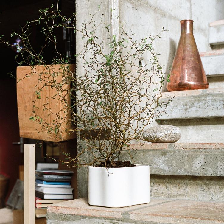 Artek Riihitie Pflanzentopf Form B, Artek, Aino Aalto, Diverses, Wohnmöbel, Vase + Keramik, Wohnmöbel