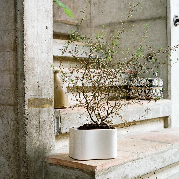 Artek Riihitie Pflanzentopf Form B, Artek, Aino Aalto, Diverses, Wohnmöbel, Vase + Keramik, Wohnmöbel