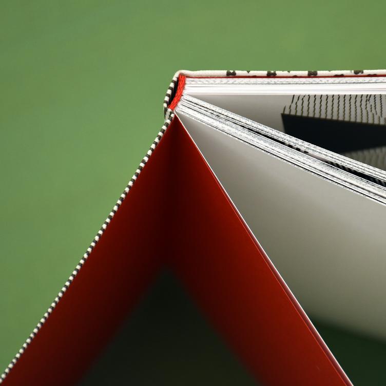 Buch Moirémotion von Takahiro Kurashima, Buch, Wohnmöbel