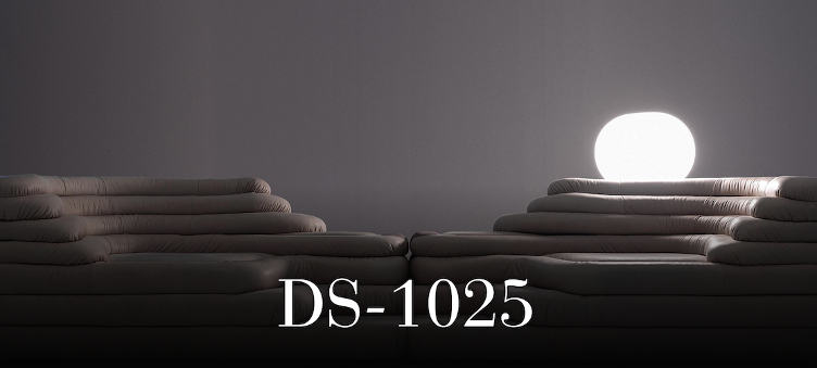 DS-1025 Sofa von de Sede, de Sede, Ubald Klug, Sofa, Wohnmöbel