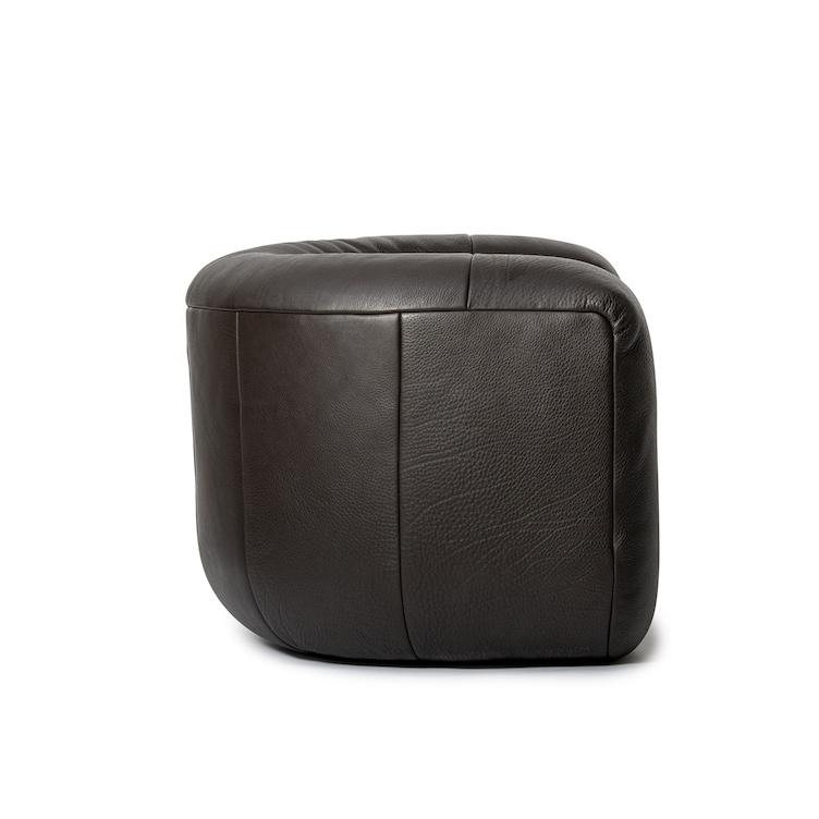 DS-707 Sessel von de Sede, de Sede, Sessel, Wohnmöbel