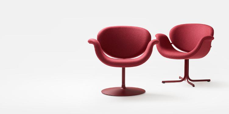 Tulip Midi Chair von Pierre Paulin für Artifort | Sessel mit Kreuzsockel, Artifort, Pierre Paulin, Sessel, Wohnmöbel