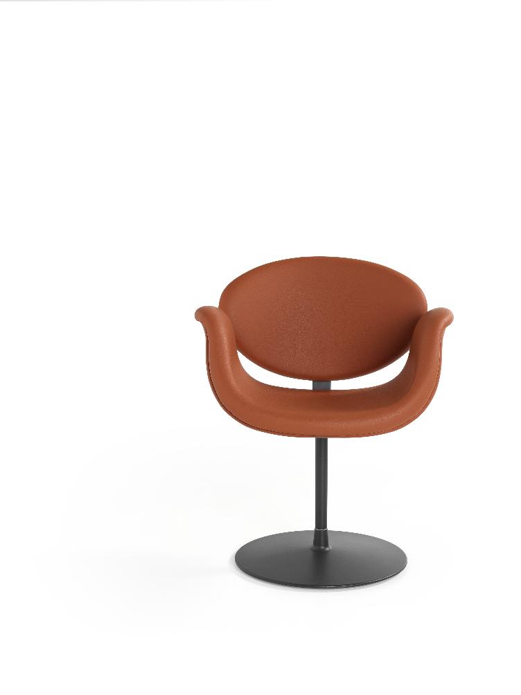 Little Tulip Chair von Pierre Paulin für Artifort | Sessel mit Scheibe - 5
